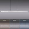 Paul Neuhaus PURE-MOTO-RISE Lampada a Sospensione LED Argento, 3-Luci, Telecomando