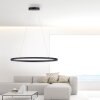 Paul Neuhaus TITUS Lampada a Sospensione LED Antracite, 1-Luce