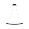 Paul Neuhaus TITUS Lampada a Sospensione LED Antracite, 1-Luce