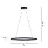 Paul Neuhaus TITUS Lampada a Sospensione LED Antracite, 1-Luce