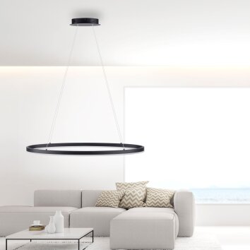 Paul Neuhaus TITUS Lampada a Sospensione LED Antracite, 1-Luce