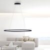 Paul Neuhaus TITUS Lampada a Sospensione LED Antracite, 1-Luce