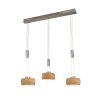 Fischer & Honsel SHINEWOOD Lampada a Sospensione LED Nichel opaco, 3-Luci