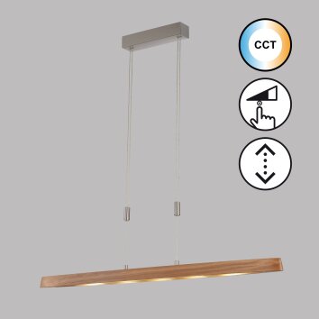 Fischer & Honsel SHINEWOOD Lampada a Sospensione LED Nichel opaco, 5-Luci