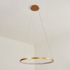 Calcium Lampada a Sospensione LED Ottone, 1-Luce