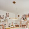 Calcium Lampada a Sospensione LED Ottone, 1-Luce