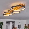 Rodekro Plafoniera LED Nero, 1-Luce