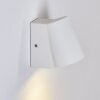 Swisher Applique da esterno LED Bianco, 1-Luce