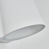 Swisher Applique da esterno LED Bianco, 1-Luce