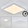 Leto Plafoniera da esterno LED Bianco, 1-Luce