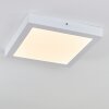 Leto Plafoniera da esterno LED Bianco, 1-Luce