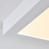 Leto Plafoniera da esterno LED Bianco, 1-Luce