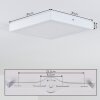 Leto Plafoniera da esterno LED Bianco, 1-Luce