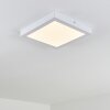 Leto Plafoniera da esterno LED Bianco, 1-Luce