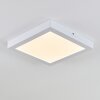 Leto Plafoniera da esterno LED Bianco, 1-Luce