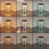 Begg Lampioncino Segnapasso LED Nero, 1-Luce, Sensori di movimento, Cambia colore