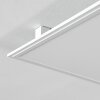 Crum Plafoniera LED Bianco, 1-Luce, Telecomando