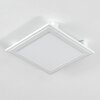 Crum Plafoniera LED Bianco, 1-Luce, Telecomando