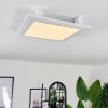 Crum Plafoniera LED Bianco, 1-Luce, Telecomando