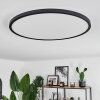 Hooper Plafoniera LED Nero, 1-Luce