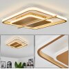 Evolene Plafoniera LED Oro, 1-Luce