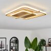 Evolene Plafoniera LED Oro, 1-Luce