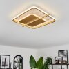 Evolene Plafoniera LED Oro, 1-Luce