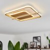 Evolene Plafoniera LED Oro, 1-Luce