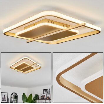 Evolene Plafoniera LED Oro, 1-Luce