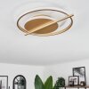 Evolene Plafoniera LED Oro, 1-Luce