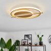 Evolene Plafoniera LED Oro, 1-Luce