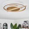 Evolene Plafoniera LED Oro, 1-Luce