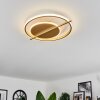 Evolene Plafoniera LED Oro, 1-Luce