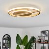 Evolene Plafoniera LED Oro, 1-Luce