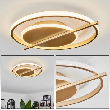 Evolene Plafoniera LED Oro, 1-Luce