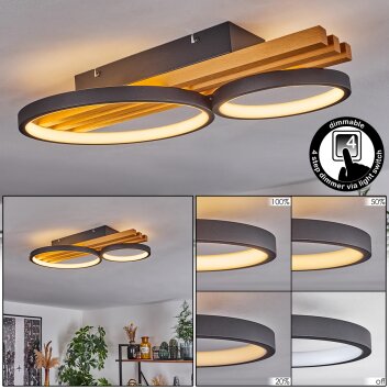 Rodekro Plafoniera LED Écru, Nero, 1-Luce