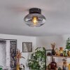 Haikala Plafoniera Chiaro, Grigio fumo, 1-Luce