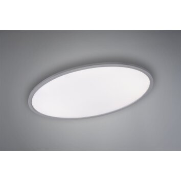 Trio TORRANCE Plafoniera LED Titanio, 1-Luce