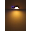 Globo JACKY Plafoniera LED Aspetto del legno, Nero, 2-Luci, Telecomando, Cambia colore