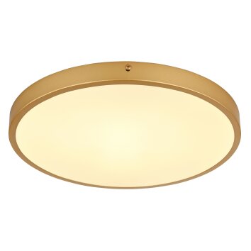 Globo TIBEY Plafoniera LED Ottone, 1-Luce