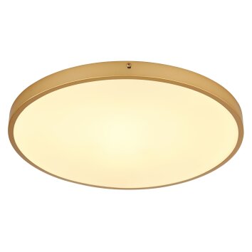 Globo TIBEY Plafoniera LED Ottone, 1-Luce