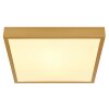 Globo TIBEY Plafoniera LED Ottone, 1-Luce