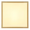 Globo TIBEY Plafoniera LED Ottone, 1-Luce