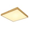 Globo TIBEY Plafoniera LED Ottone, 1-Luce