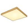 Globo TIBEY Plafoniera LED Ottone, 1-Luce