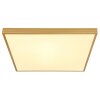 Globo TIBEY Plafoniera LED Ottone, 1-Luce