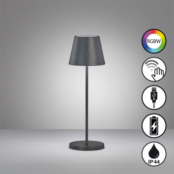FHL easy Cosenza 2.0 Lampada da tavolo LED Nero, 1-Luce, Cambia colore