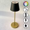 FHL easy Cosenza 2.0 Lampada da tavolo LED Nero, 1-Luce, Cambia colore