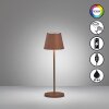 FHL easy Cosenza 2.0 Lampada da tavolo LED Ruggine, 1-Luce, Cambia colore