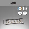 Fischer & Honsel Gian Lampada a Sospensione LED Nero, 1-Luce, Telecomando